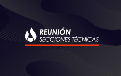 Reunión Secciones Técnicas – Detección y Extinción: Instalación de un Sistema de Impulsión Contra Incendios. Buenas y Malas Prácticas.