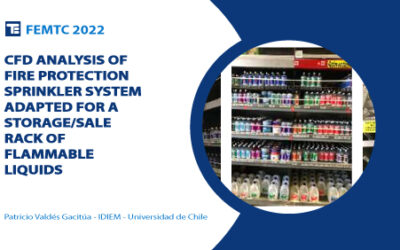 CFD Analysis Of Fire Protection Sprinkler System Adapted For A Storage/Sale Rack Of Flammable Liquids